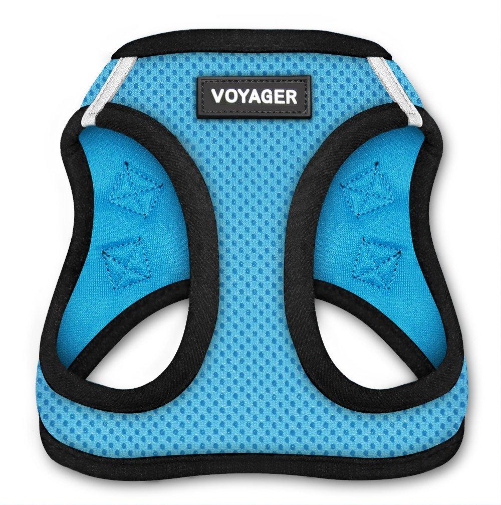 Voyager Step-in Air Dog Harness - All Weather Mesh Step in Vest Harness for Small and Medium Dogs by Best Pet Supplies S (Chest: 14.5 - 17") Baby Blue Base - PawsPlanet Australia