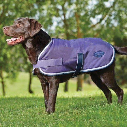 Weatherbeeta Windbreaker 420D Dog Coat 24 Violet/Grey - PawsPlanet Australia