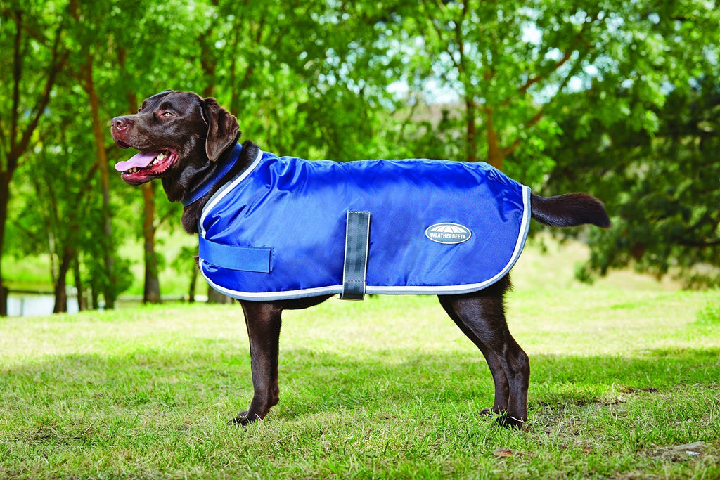 Weatherbeeta Windbreaker 420D Dog Coat 20 Navy/Grey/White - PawsPlanet Australia