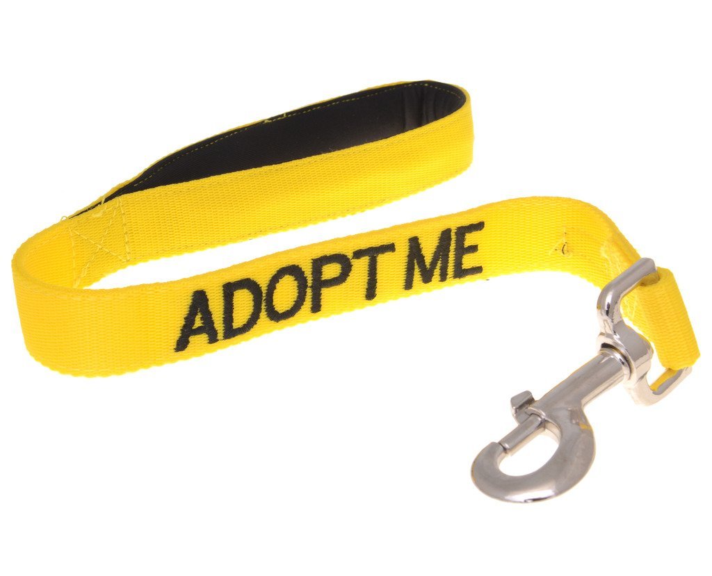 [Australia] - Dexil Limited Adopt ME Yellow Color Coded 2 4 6 Foot Padded Handle Dog Leash (New Home Needed) Donate to Your Local Charity Short 2 Foot Leash 