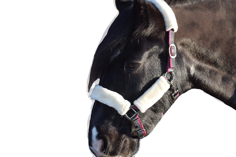 Luxury Padded Horse Headcollar Faux Fur Trim - PawsPlanet Australia