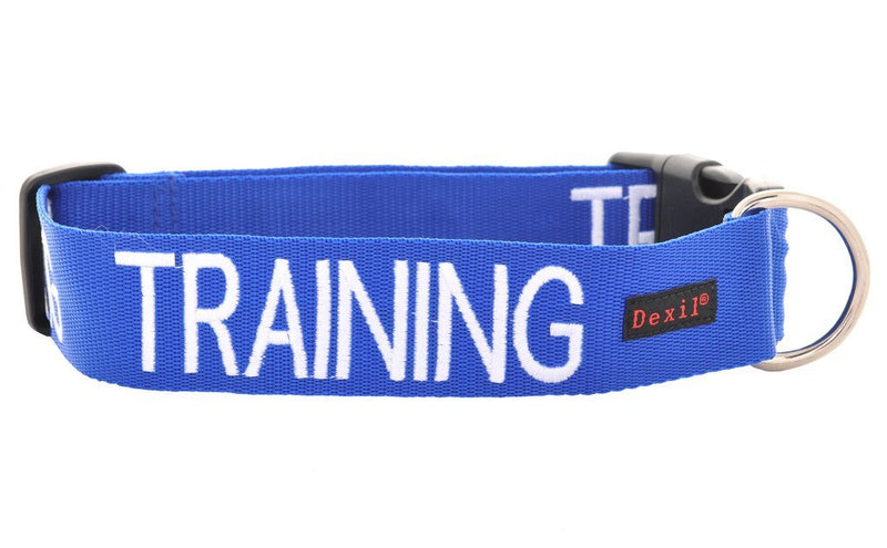 [Australia] - Dexil Limited Training Blue Color Coded S-M L-XL Buckle Dog Collar (Do Not Disturb) Prevents Accidents by Warning Others of Your Dog in Advance L-XL Collar 15-25"Lx1.5"W 