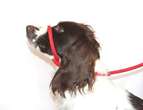 [Australia] - Dog & Field Figure 8 Anti Pull Leash/Halter/Head Collar- One Size Fits All - Super Soft Braided Nylon - Fitting Instructions Included - Comfortable, Kind, Supple, Secure No More Pulling! RED 
