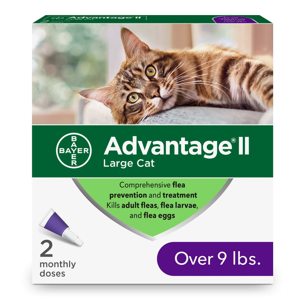 [Australia] - Advantage II 2-Dose Flea Prevention and Treatment for Large Cats, Over 9 Pounds 