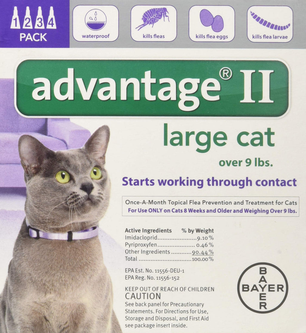 Advantage II Large Cat 4-Pack - PawsPlanet Australia