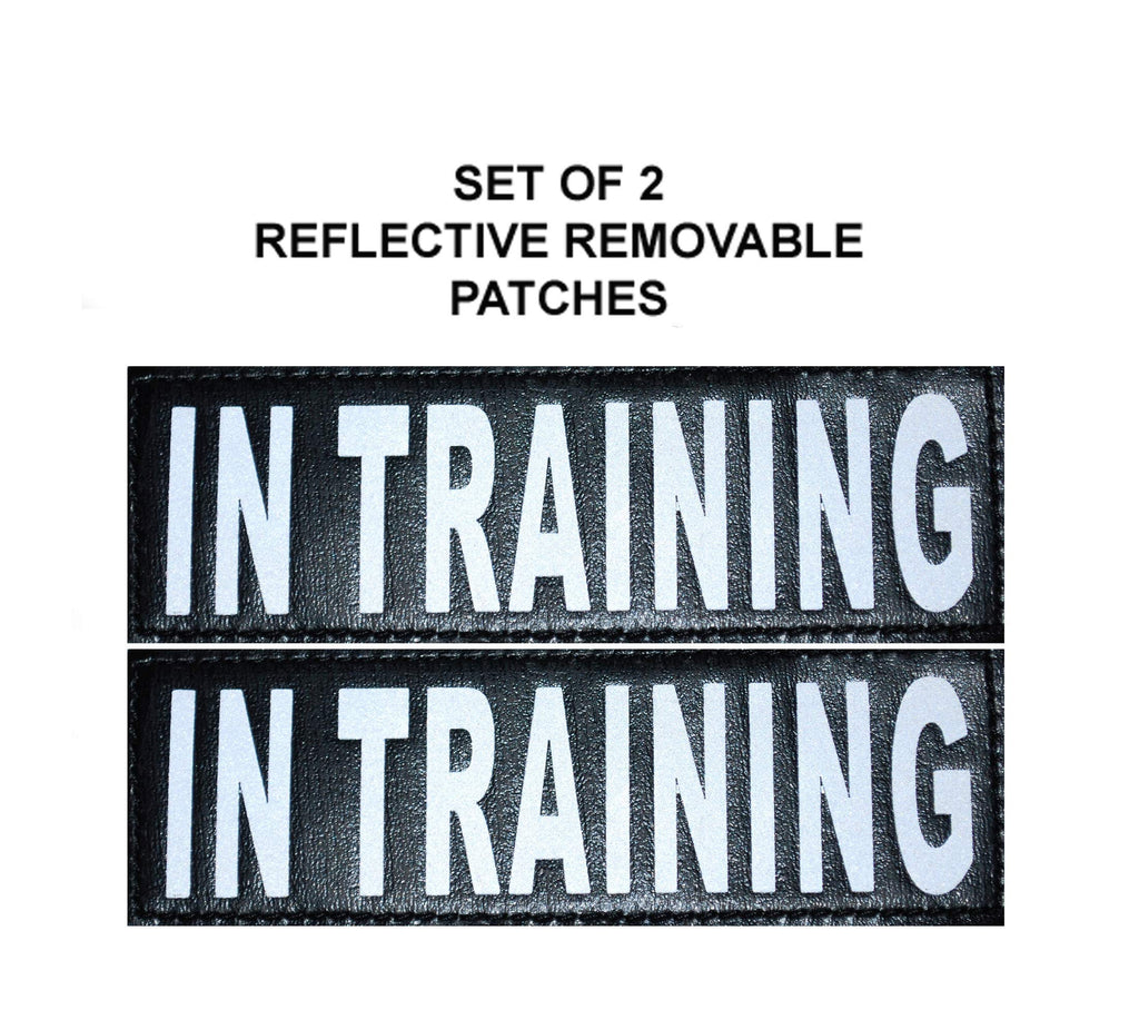 [Australia] - Doggie Stylz Set of 2 Reflective in Training Removable Patches for Service Dog Harnesses & Vests. Large 6" X 2" 