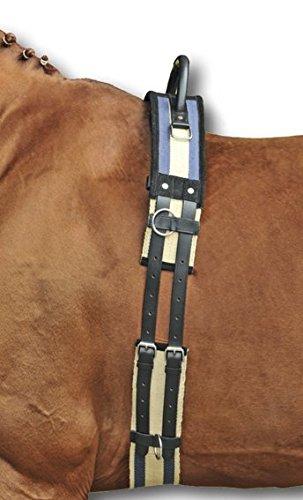 HKM SPORTS EQUIPMENT 17956925.1347 1795 Lunging Belt with Grab Handle, Canvas Pony Shetty VB/WB - PawsPlanet Australia