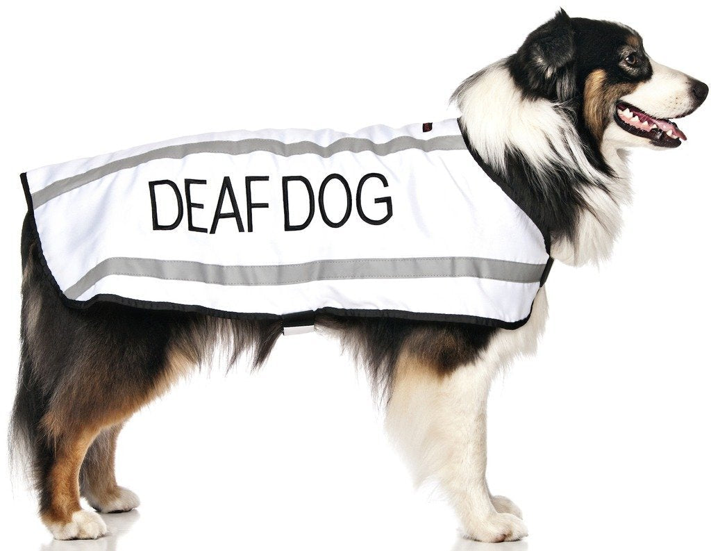 [Australia] - Deaf Dog White Warm Dog Coats S M M L L XL Waterproof Reflective Fleece Lined Prevents Accidents By Warning Others of Your Dog in Advance (M-L Back 17" (43cm) M-L Back 17" (43cm) 