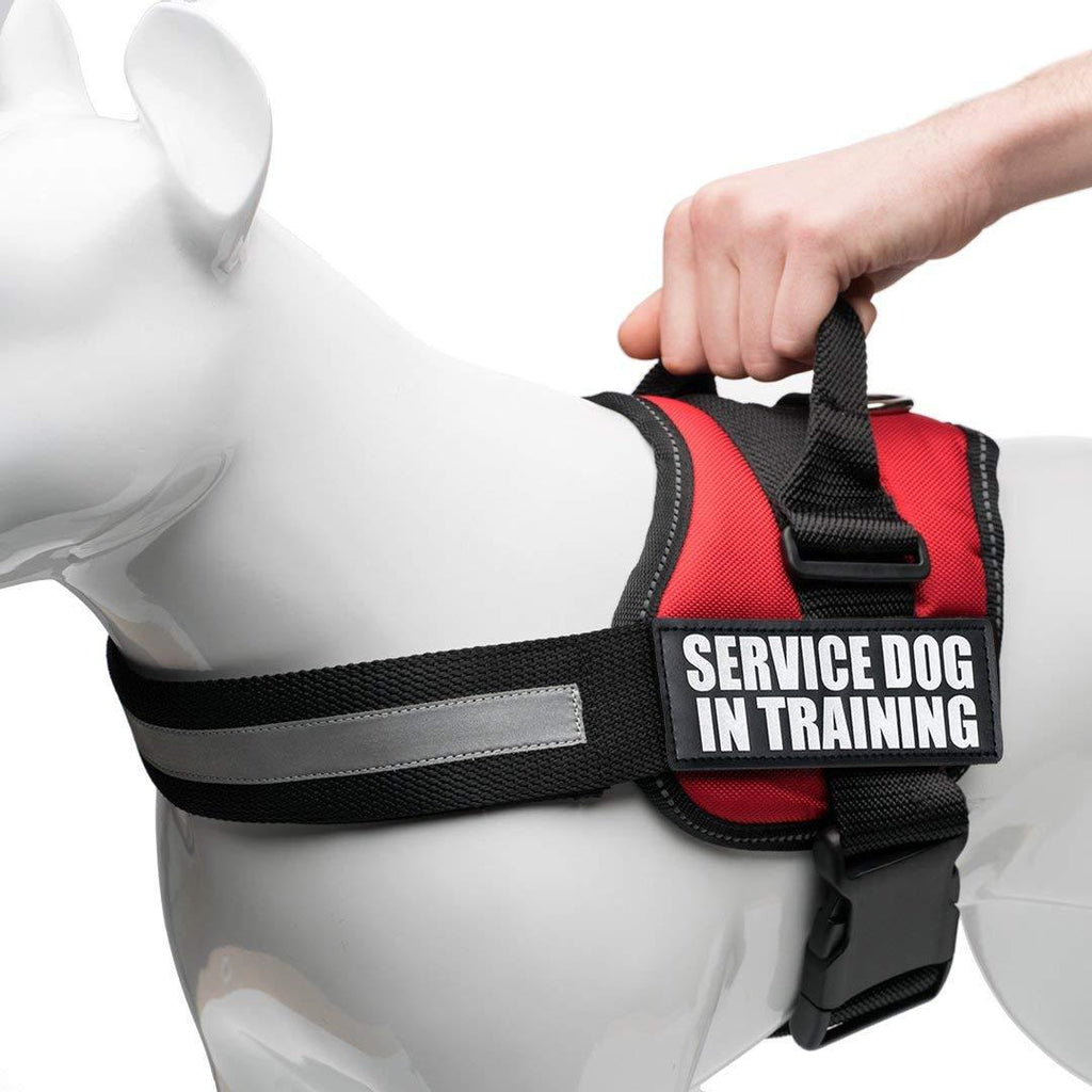 [Australia] - Industrial Puppy Service Dog In Training Vest With Hook and Loop Straps and Handle - Harnesses In Sizes From XXS to XXL - Service Dog Vest Harness Features Reflective Patch and Comfortable Mesh Design Medium, Fits Girth 24-29" Bright Red 