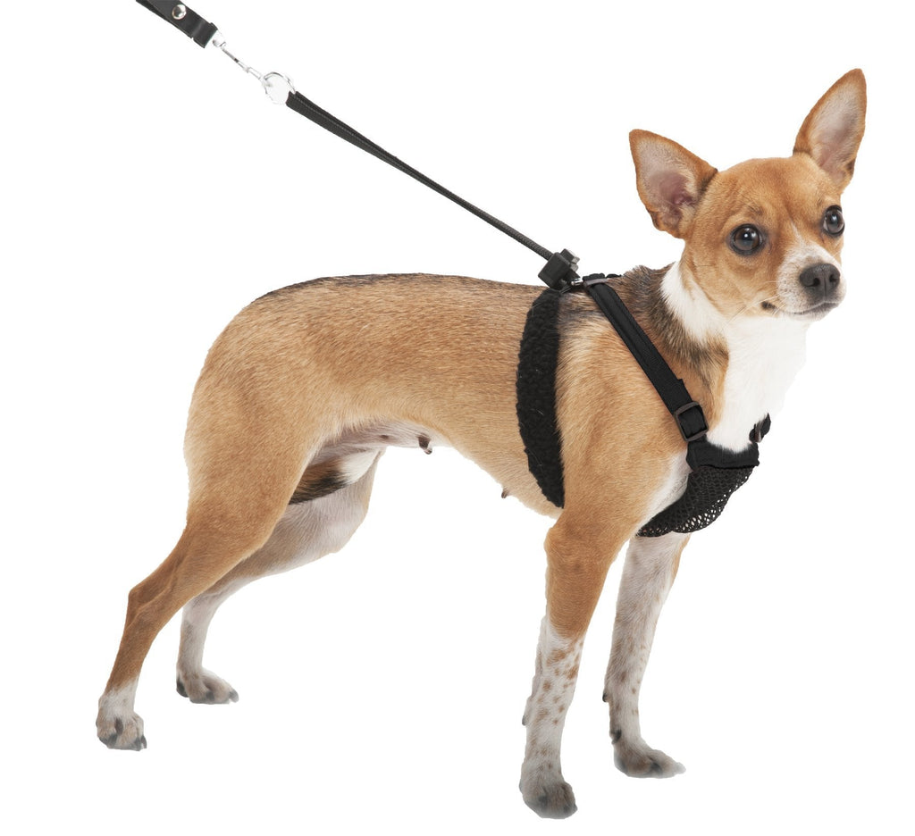 [Australia] - SPORN No-Pull  Dog Harness, Mesh, Black, Extra Small 