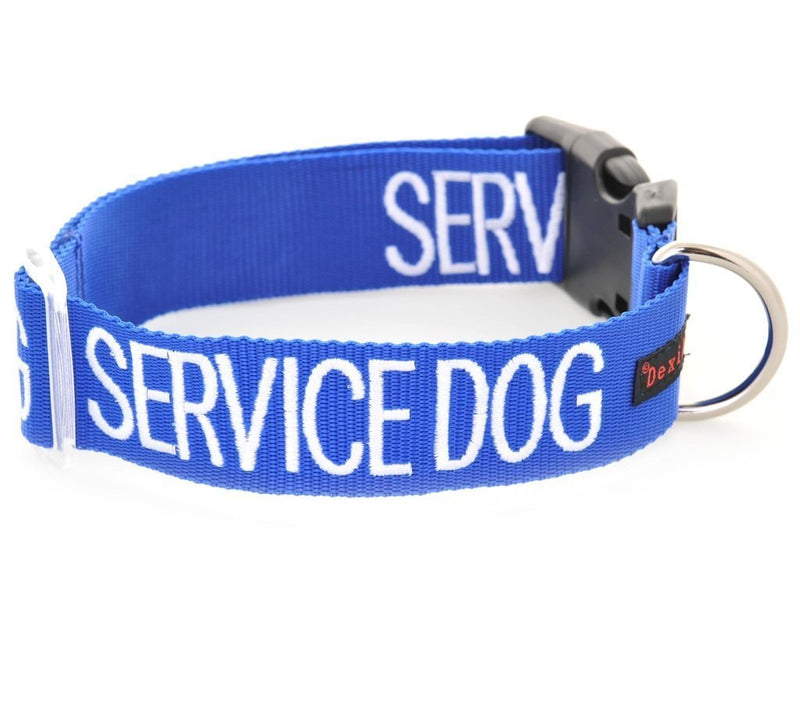 [Australia] - Dexil Limited Service Dog Blue Color Coded S-M L-XL Buckle Dog Collar (Do Not Disturb) Prevents Accidents by Warning Others of Your Dog in Advance L-XL Collar, 15-25"Lx1.25"W 