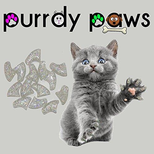 [Australia] - Purrdy Paws 40-Pack Soft Nail Caps for Cat Claws Silver Holographic Glitter Large 