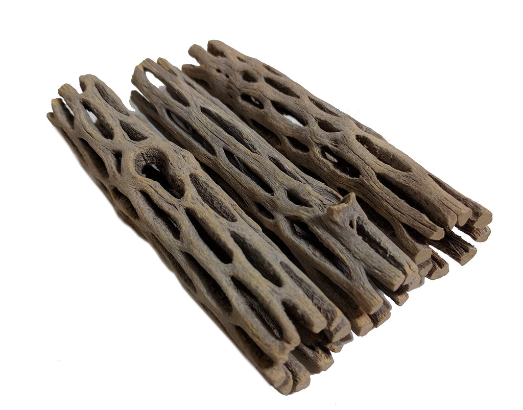 Natural Cholla Wood for Aquarium Decoration, Shrimp, Hermit Crab, Chew Toys for Small Pets 4 Inches Long(Pack of 3) - PawsPlanet Australia