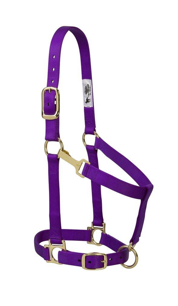 Weaver Leather Basic Adjustable Halter Purple Average Horse - PawsPlanet Australia