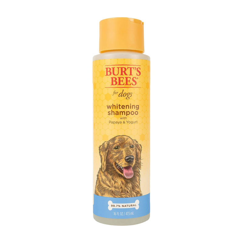 Burt's Bees for Dogs Natural Whitening Shampoo with Papaya and Yogurt | Puppy and Dog Shampoo, 16 Ounces 1 Pack - PawsPlanet Australia