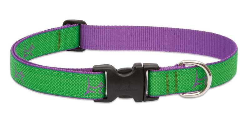 [Australia] - LupinePet Club 1" Augusta Green for Medium and Large Dogs Collar - 1"W; 16-28" Neck 