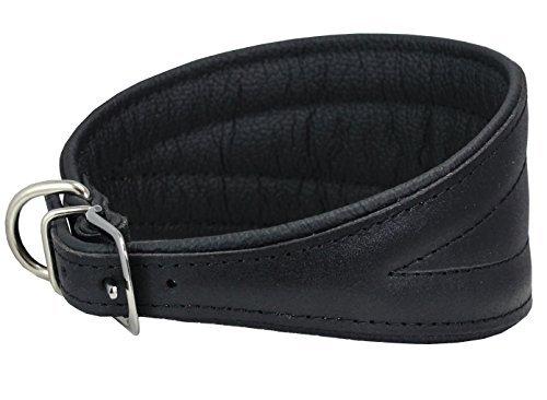 [Australia] - Dogs My Love Real Leather Extra Wide Padded Tapered Dog Collar 11"-13" Neck; 2" Wide Black 