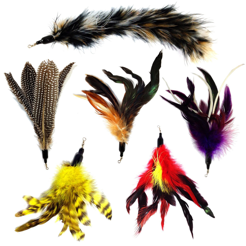 Pet Fit For Life Multi Piece Replacement Feathers Pack Plus Bonus Soft Furry Tail for Interactive Cat and Kitten Toy Wands… - PawsPlanet Australia