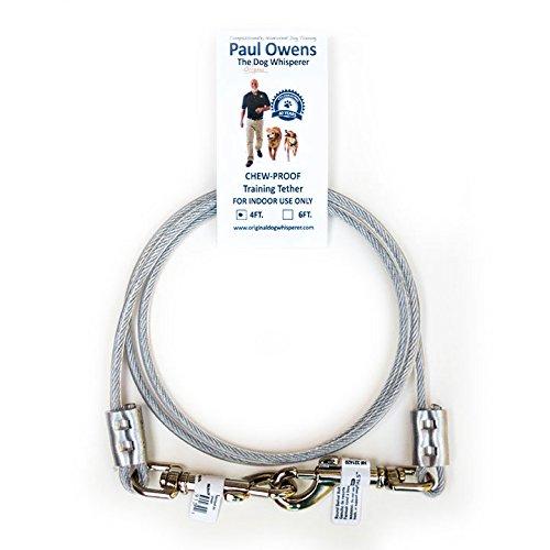 Paul Owens Chew-Proof Training Tether for Dogs & Puppies 4-ft. - 2 pack - PawsPlanet Australia