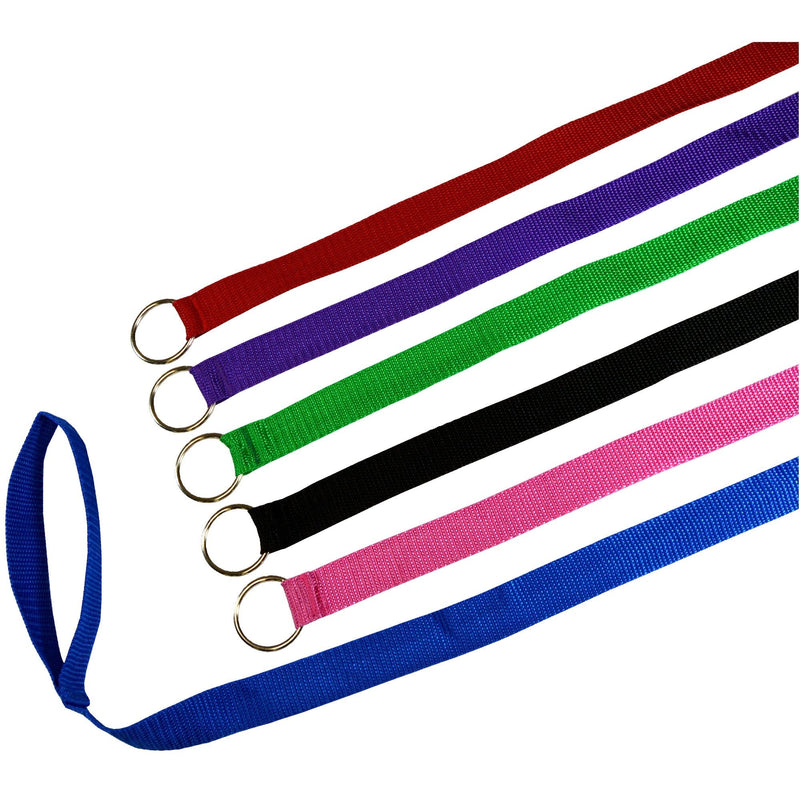 Downtown Pet Supply - 6ft Dog Kennel Slip Lead Dog Leash - Veterinarian, Dog Grooming, Daycare & Animal Rescue Dog Supplies - One Size Leads for Dogs Bulk - 1" Thick 6 Pack - PawsPlanet Australia