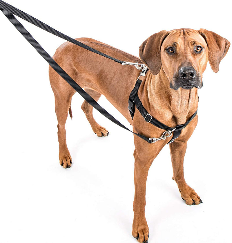 [Australia] - 2 Hounds Design Freedom No-Pull Dog Harness Training Package, Large, Navy 
