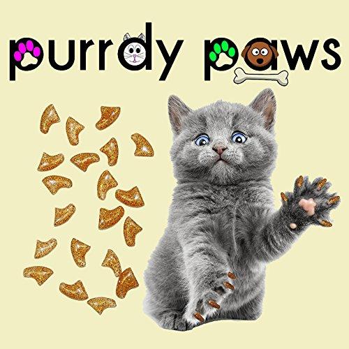 [Australia] - Purrdy Paws 40-Pack Soft Nail Caps for Cat Claws Gold Holographic Glitter Kitten 