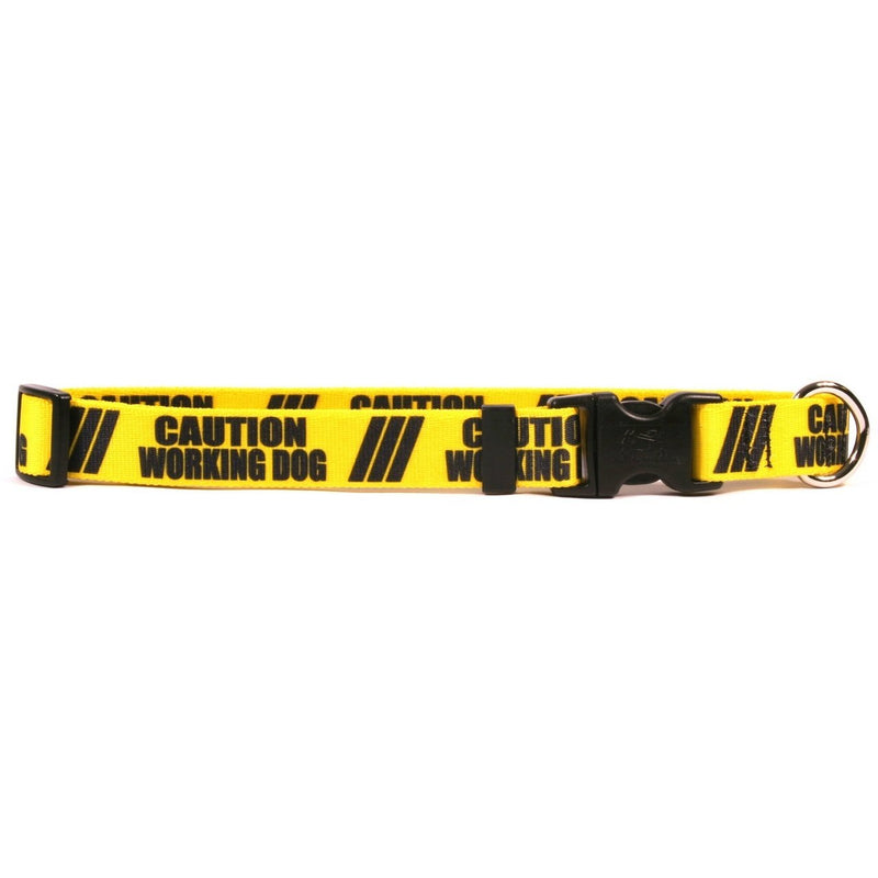 [Australia] - Yellow Dog Design 1" Caution Working Dog Collar 1" Wide and Fits Neck 10 to 14", Small 