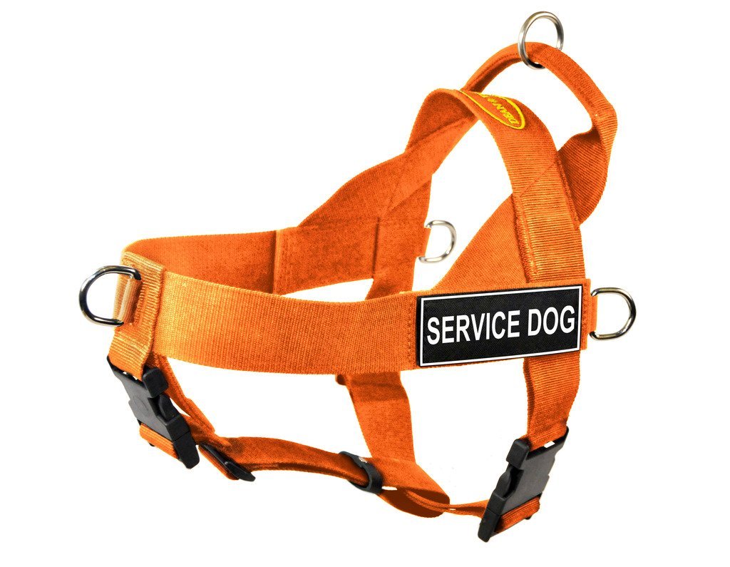 [Australia] - Dean & Tyler DT Universal No Pull Dog Harness with Service Dog Patches Medium Orange 