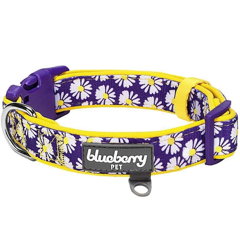 Blueberry Pet 10+ Patterns Soft & Comfy Flower Print Neoprene Padded Dog Collars Collar - Small Daisy - PawsPlanet Australia