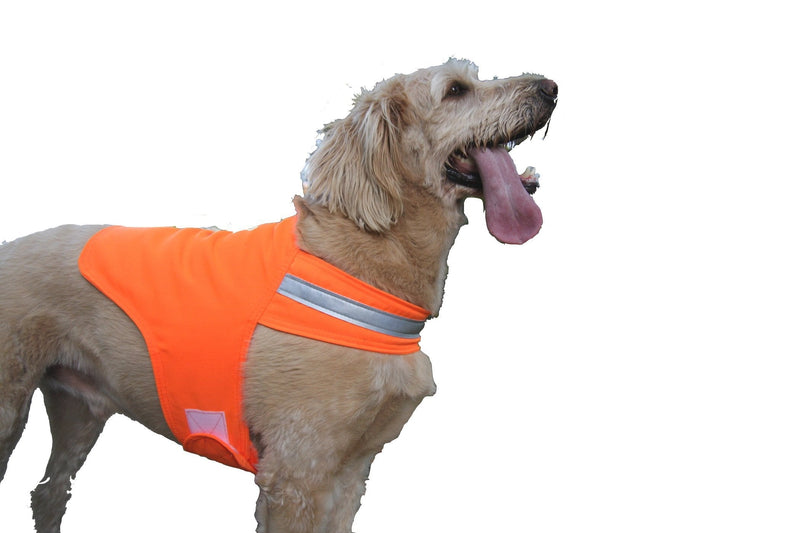 [Australia] - Dog Not Gone No Fly Zone Safety Vest for Dogs, Medium, Orange 
