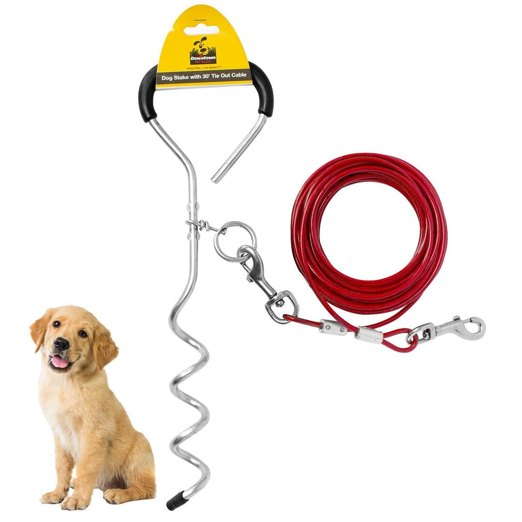 Downtown Pet Supply Premium Steel Spiral Dog Tie - Out Stake with Cable (10ft, 20ft, 30ft) 10 Foot - PawsPlanet Australia