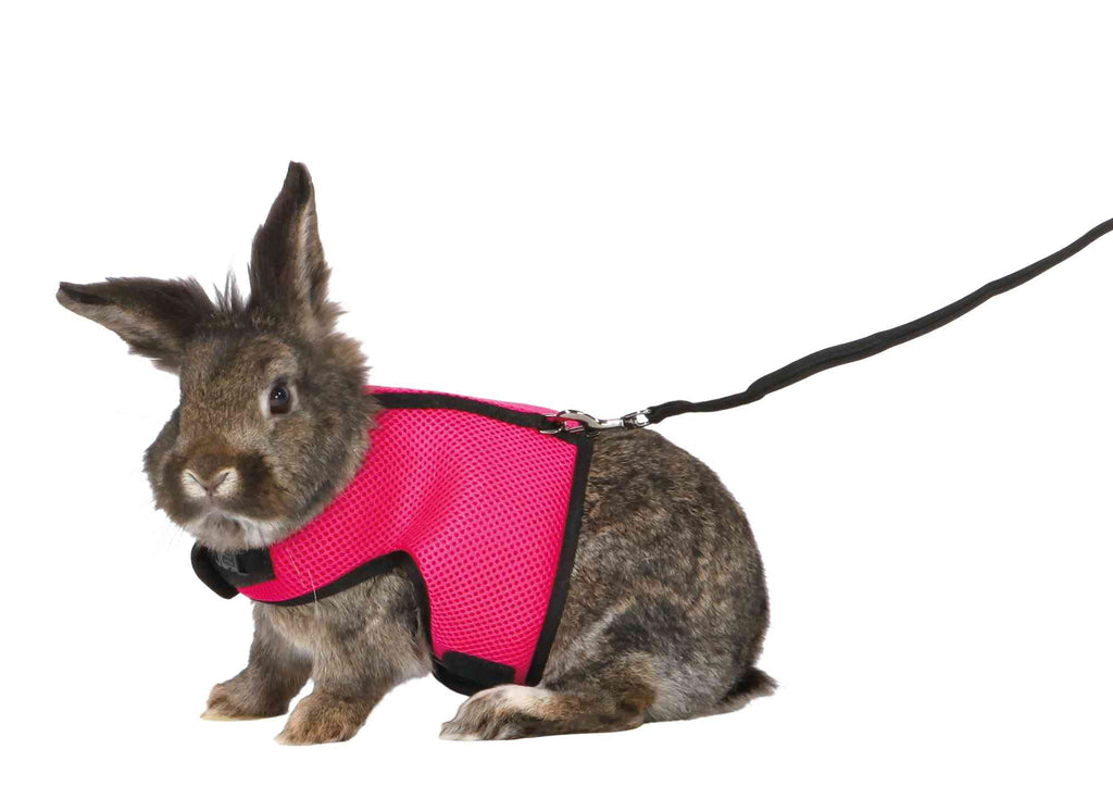 Trixie Soft Harness With Leash For Small Animals, 1.20 Metre Leash - Colour Assorted - PawsPlanet Australia