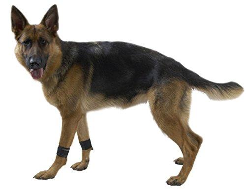Kruuse Rehab Weight Cuffs for Dogs Small - PawsPlanet Australia