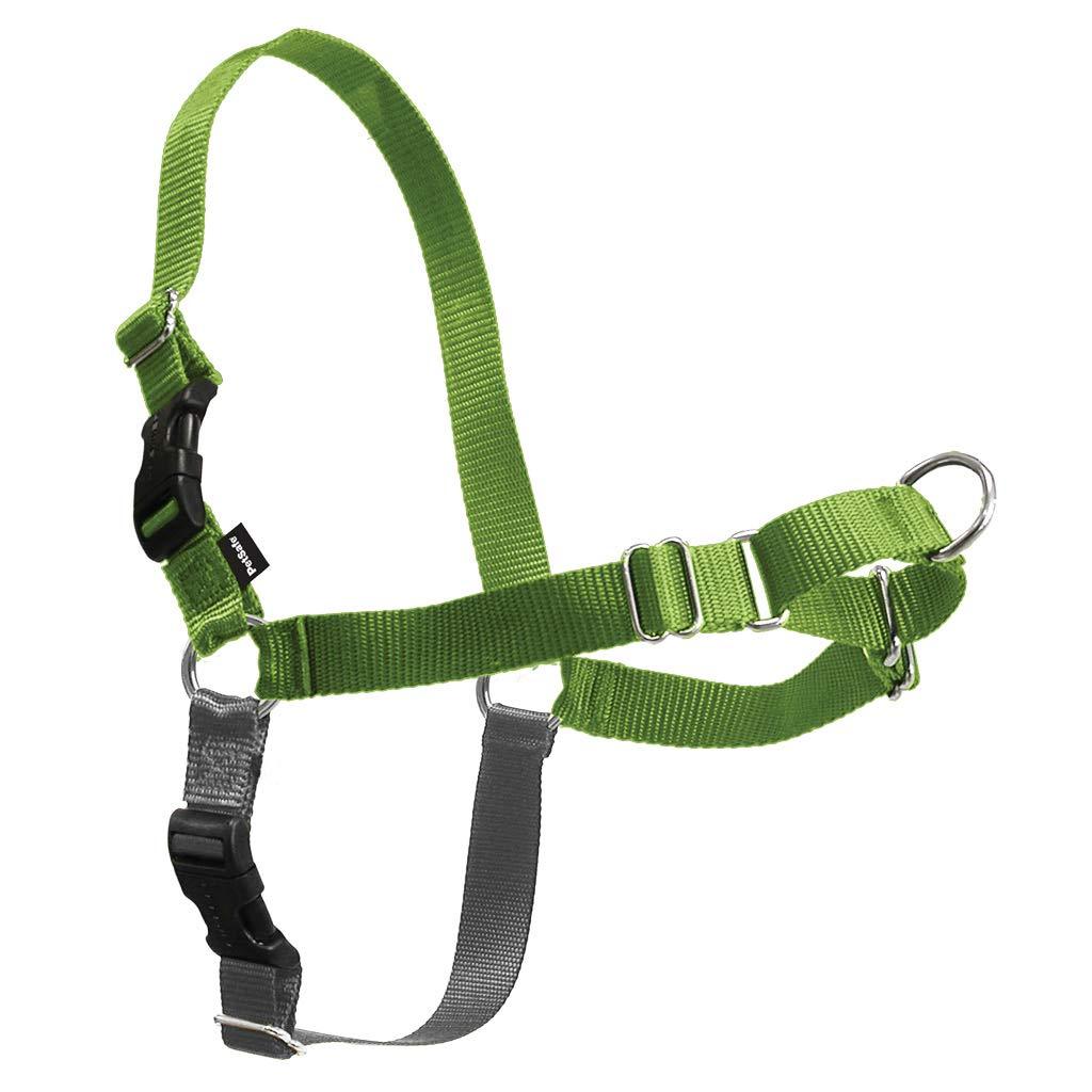 PetSafe Easy Walk Dog Harness, No Pull Dog Harness – Perfect for Leash & Harness Training – Stops Pets from Pulling and Choking on Walks – Works with Small, Medium and Large Dogs Apple Green/Gray - PawsPlanet Australia