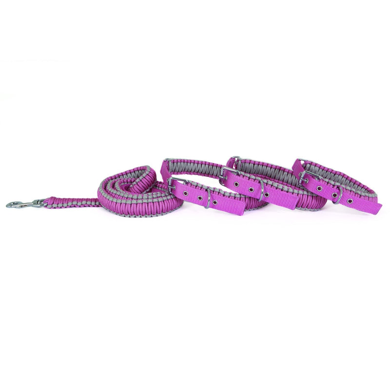 [Australia] - Aspen Pet Paracord Leash 3/4" x 5" Pink 