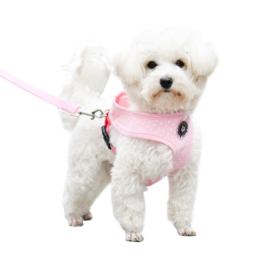 [Australia] - EXPAWLORER Soft Mesh Polka Dots Dog Harness with Matching Leash S 