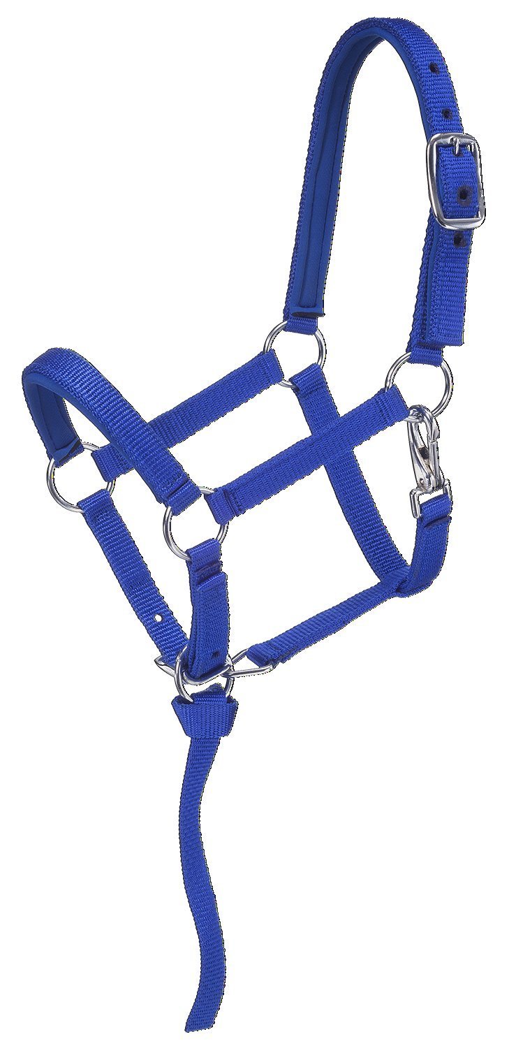 Tough 1 Nylon Padded Miniature Halter Blue/Royal Medium - PawsPlanet Australia