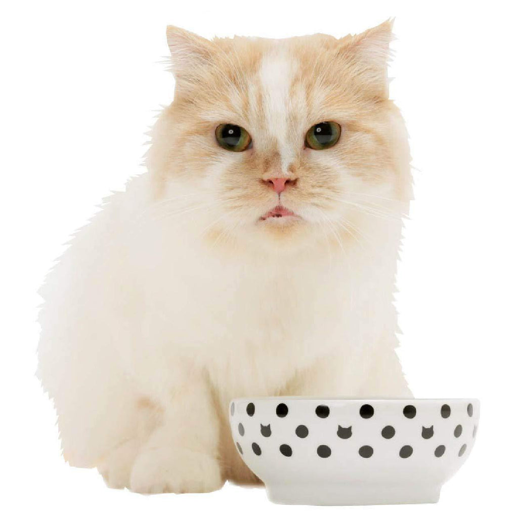 [Australia] - Necoichi Anti-Spill Cat Food Bowl, Effective Double Anti-Spill Smart Lips, FDA and EC/ECC European Standards cat dots 