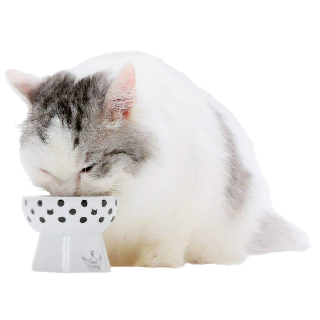 [Australia] - Necoichi Raised Cat Food Bowl, Stress Free, Backflow Prevention, Dishwasher and Microwave Safe, Made to EC & ECC European Standard Cat Dots 