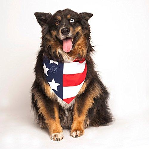Dog Fashion Living- American Flag Dog Bandana - PawsPlanet Australia
