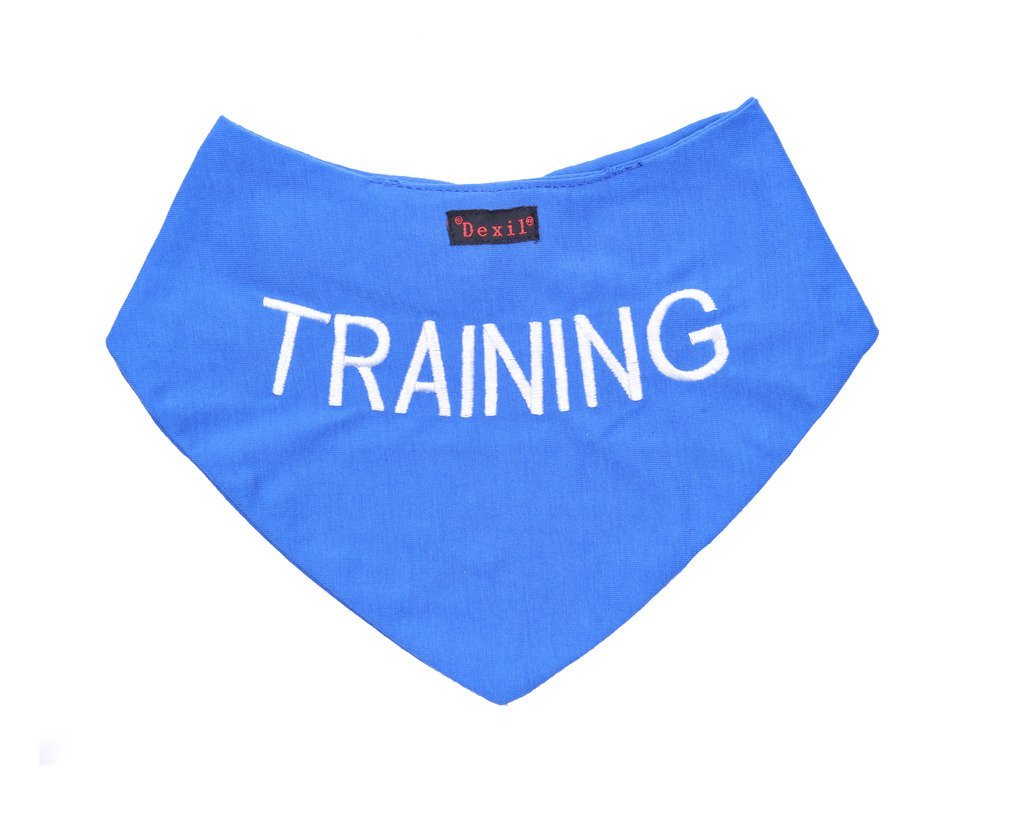 Dexil Training Blue Dog Bandana Quality Personalised Embroidered Message Neck Scarf Fashion Accessory Prevents Accidents by Warning Others of Your Dog in Advance - PawsPlanet Australia