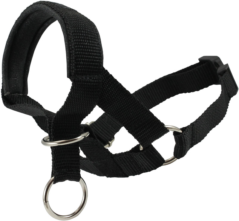 [Australia] - Dog Head Collar Halter Black 6 Sizes M: 8.25"-10.25" Snout 