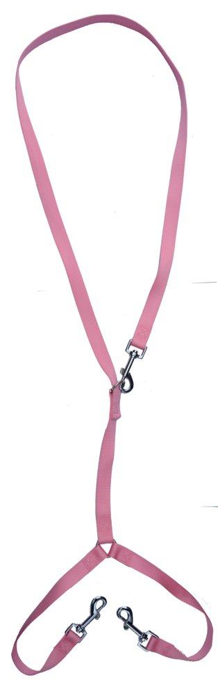 [Australia] - Durable Nylon Medium Dog Leash + 2-Way Dog Couplers pink 