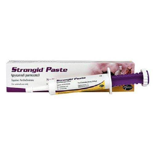 Zoetis 23.6 GMS Strongid Paste Contains 43.9% Pyrantel Pamoate for Use in Horses and Foals - PawsPlanet Australia