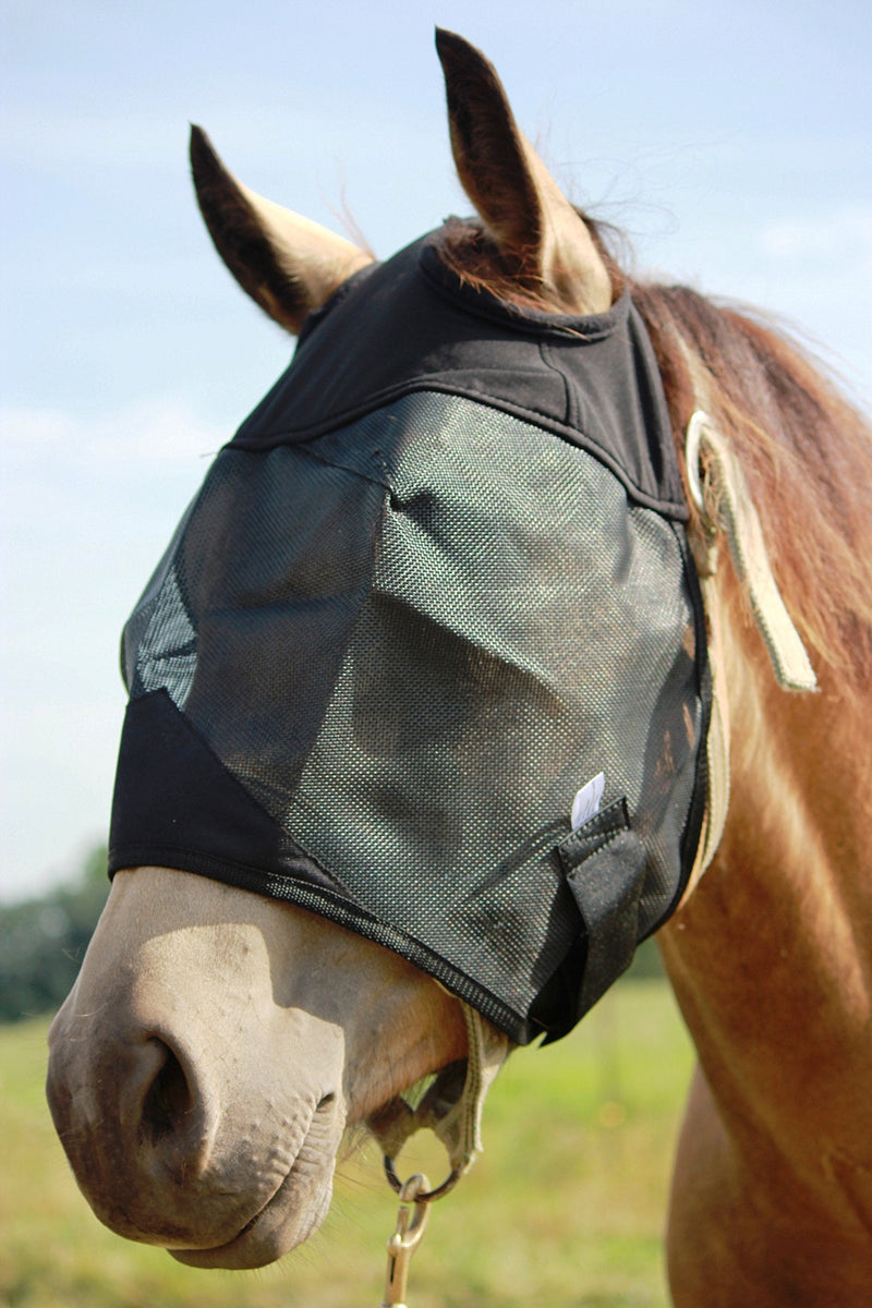 Horse Fly Mask Cover Ears Nose, All Around Barn, Stable, Pasture, Trail Riding Sun Protection and Styles Horse Standard No Ears or Nose - PawsPlanet Australia