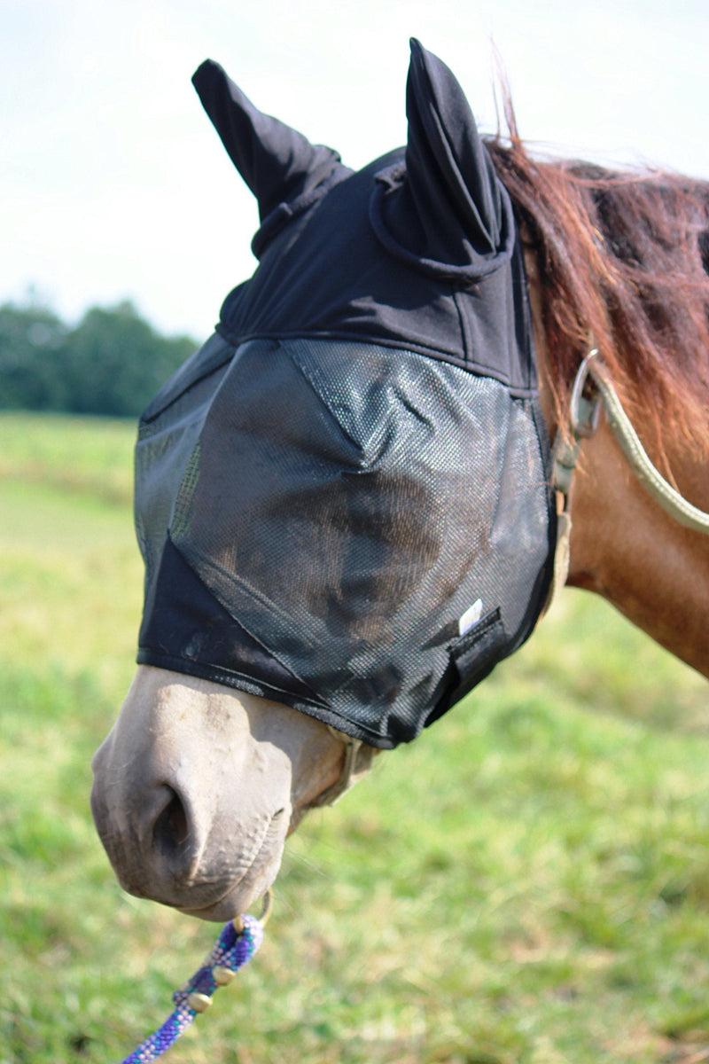 Horse Fly Mask Cover Ears Nose, All Around Barn, Stable, Pasture, Trail Riding Sun Protection and Styles Horse With Ears - PawsPlanet Australia