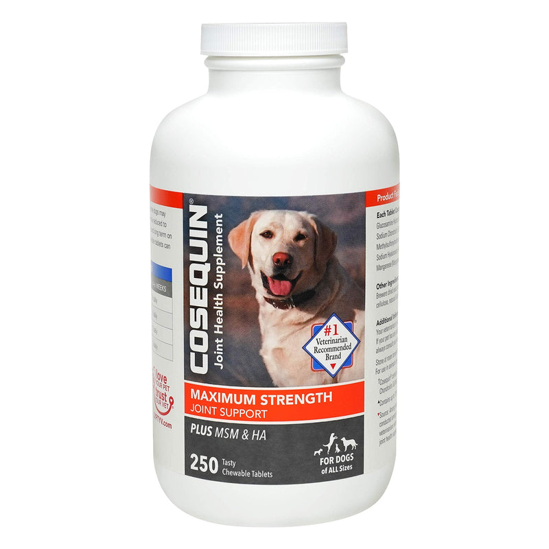 Nutramax Cosequin Maximum Strength Joint Health Supplement for Dogs - With Glucosamine, Chondroitin, MSM, and Hyaluronic Acid, 250 Chewable Tablets - PawsPlanet Australia