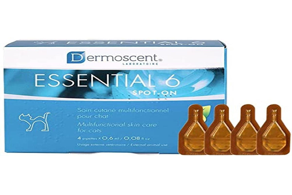 Bayer Dermoscent Essential 6 Spot On Skin Care for Cats Pet Itch Remedies - PawsPlanet Australia