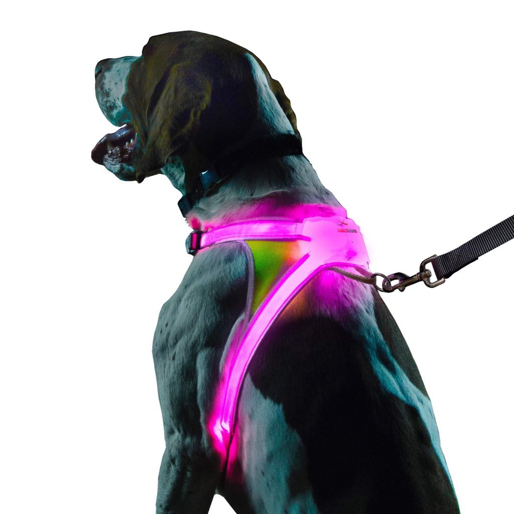 [Australia] - noxgear LightHound – Revolutionary Illuminated and Reflective Harness for Dogs Including Multicolored LED Fiber Optics (USB Rechargeable, Adjustable, Lightweight, Rainproof) Large 
