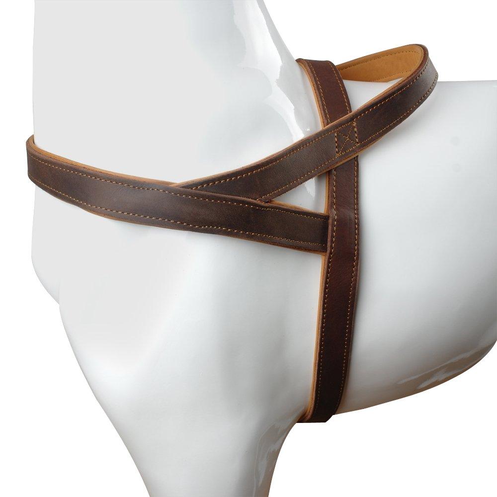[Australia] - Beirui 1" Width Genuine Leather Soft and Padded Dog Harness - Heavy Duty for Labrador German Shepherd L: Chest 33"-36" Brown 